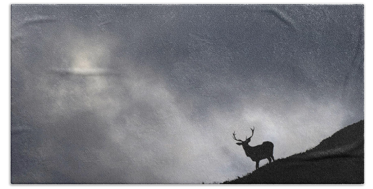 Stag Bath Towel featuring the photograph Stag Silhouette #2 by Gavin Macrae