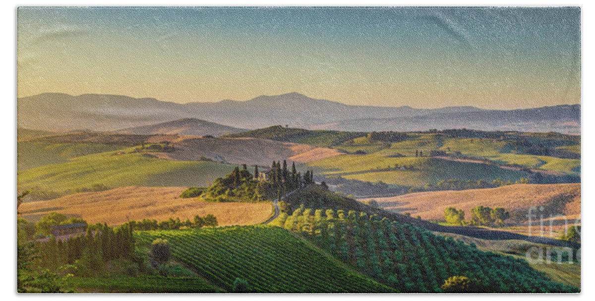 Agriculture Hand Towel featuring the photograph A Golden Morning in Tuscany #3 by JR Photography