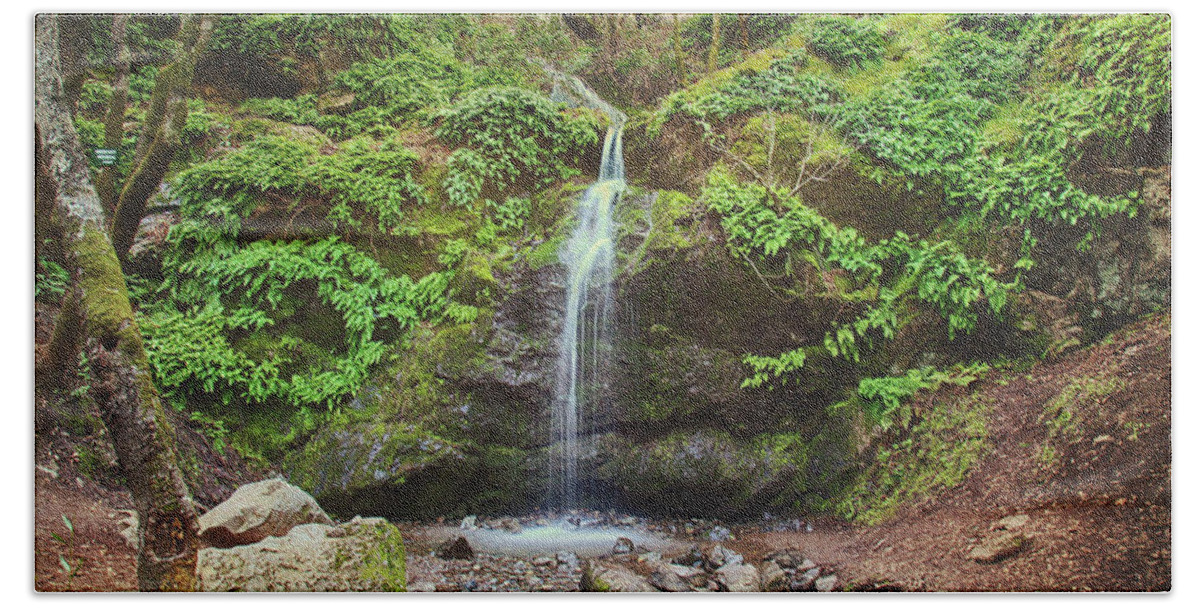 Buck Gulch Falls Bath Towel featuring the photograph A Little Bit of Love #1 by Laurie Search