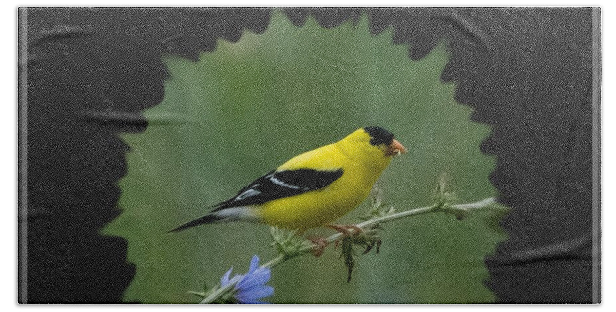 American Goldfinch Bath Towel featuring the photograph American Goldfinch by Holden The Moment