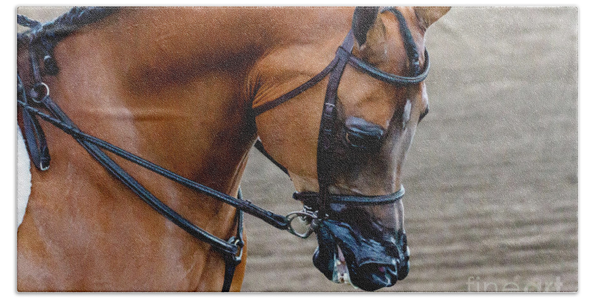 Horse Hand Towel featuring the photograph Arabian Show Horse #2 by Ben Graham