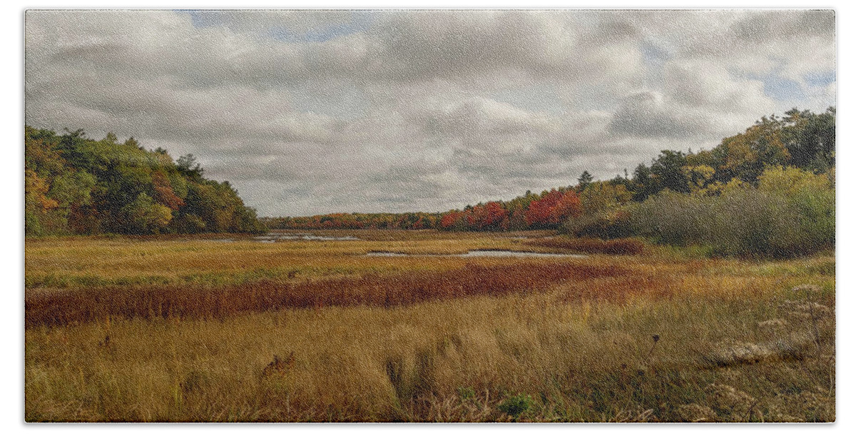 Marsh Hand Towel featuring the photograph Autumn #2 by Jewels Hamrick