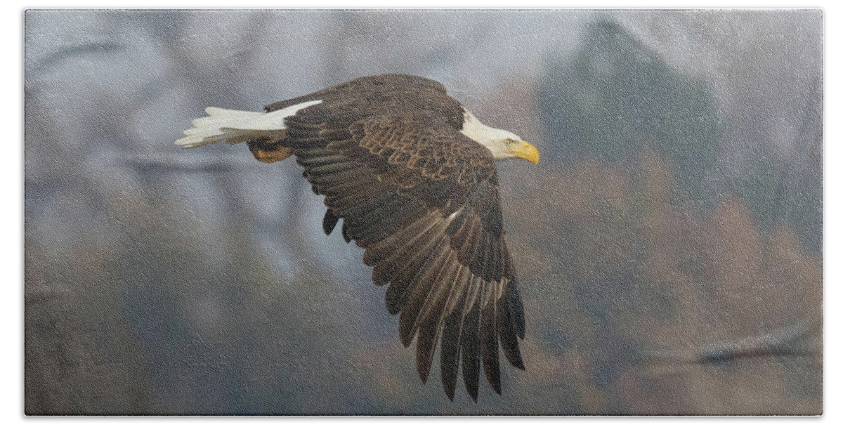 Bald Eagle Hand Towel featuring the photograph Bald Eagle On The Hunt #2 by Tony Hake
