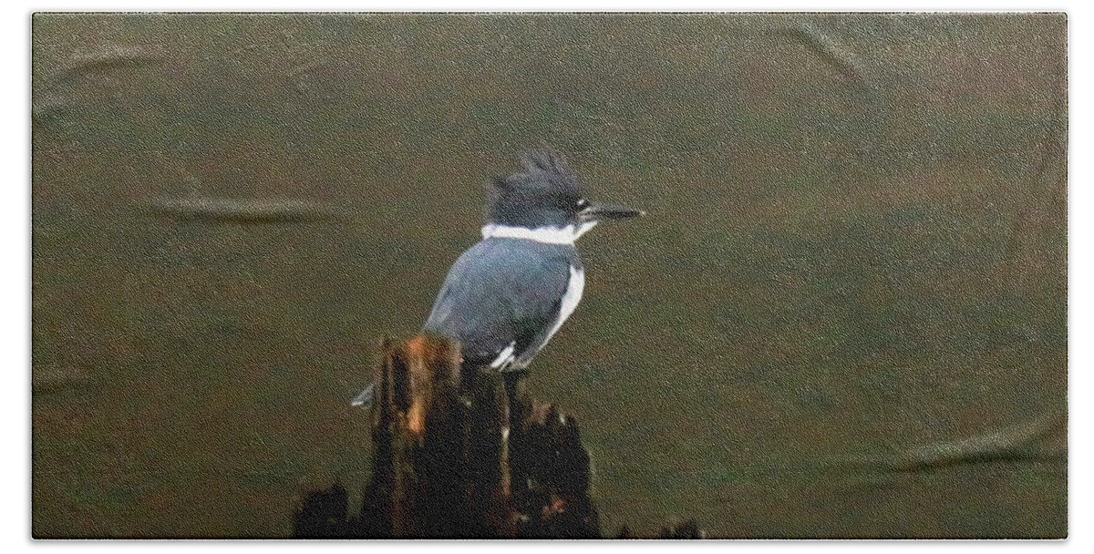 Belted Kingfisher Hand Towel featuring the photograph a Belted Kingfisher on an old peir by Jeff Swan