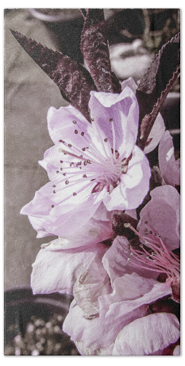 Spring Bath Towel featuring the photograph Blooming #2 by Cesar Vieira