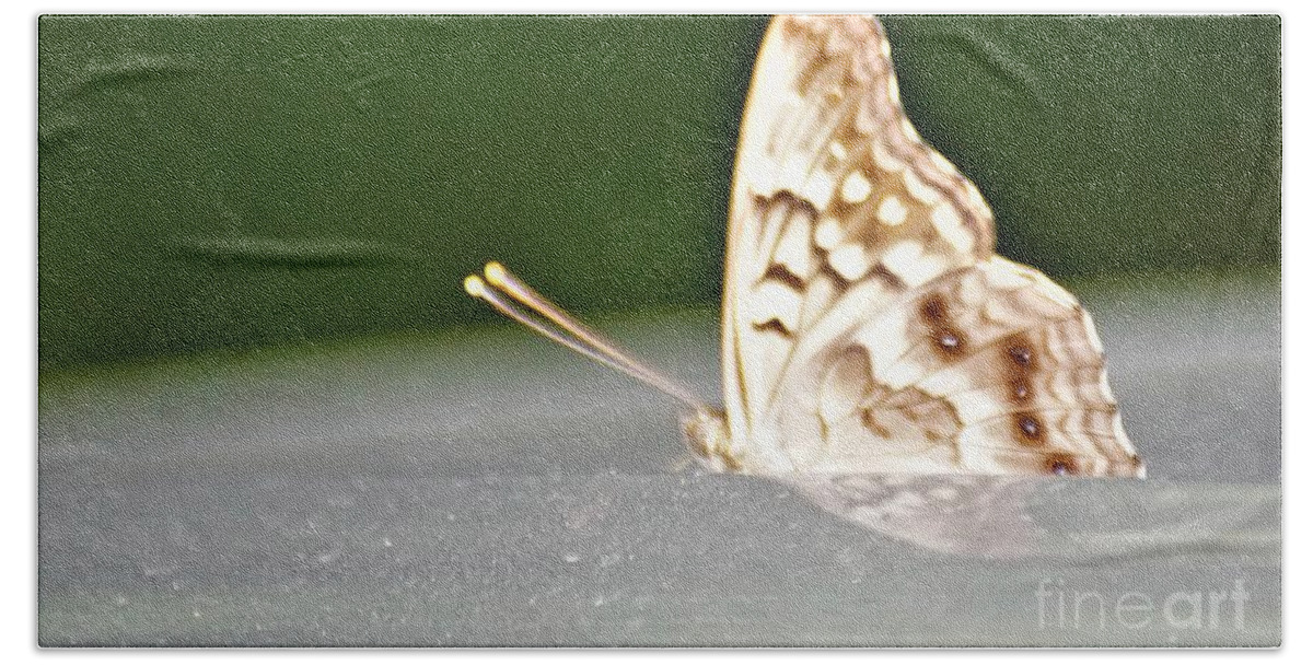 Butterflies Bath Towel featuring the photograph Butterfly on my car5 by Merle Grenz