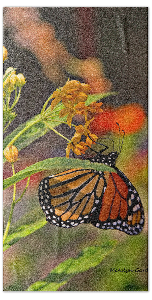  Hand Towel featuring the photograph Clinging Butterfly #2 by Matalyn Gardner