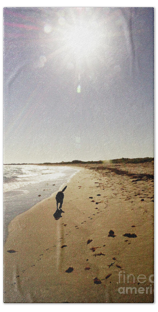Dog Hand Towel featuring the photograph Dog Beach #2 by Cassandra Buckley