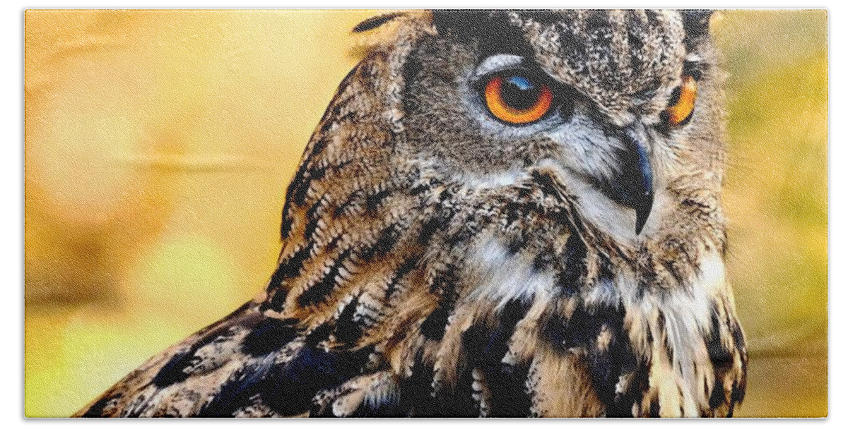 Owl Bath Towel featuring the photograph Eurasian Eagle Owl #2 by Amy McDaniel
