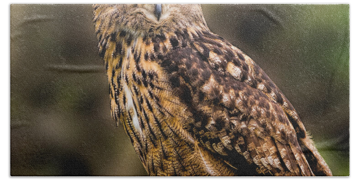 Birds Hand Towel featuring the photograph Eurasian Eagle Owl perched on a post by Les Palenik