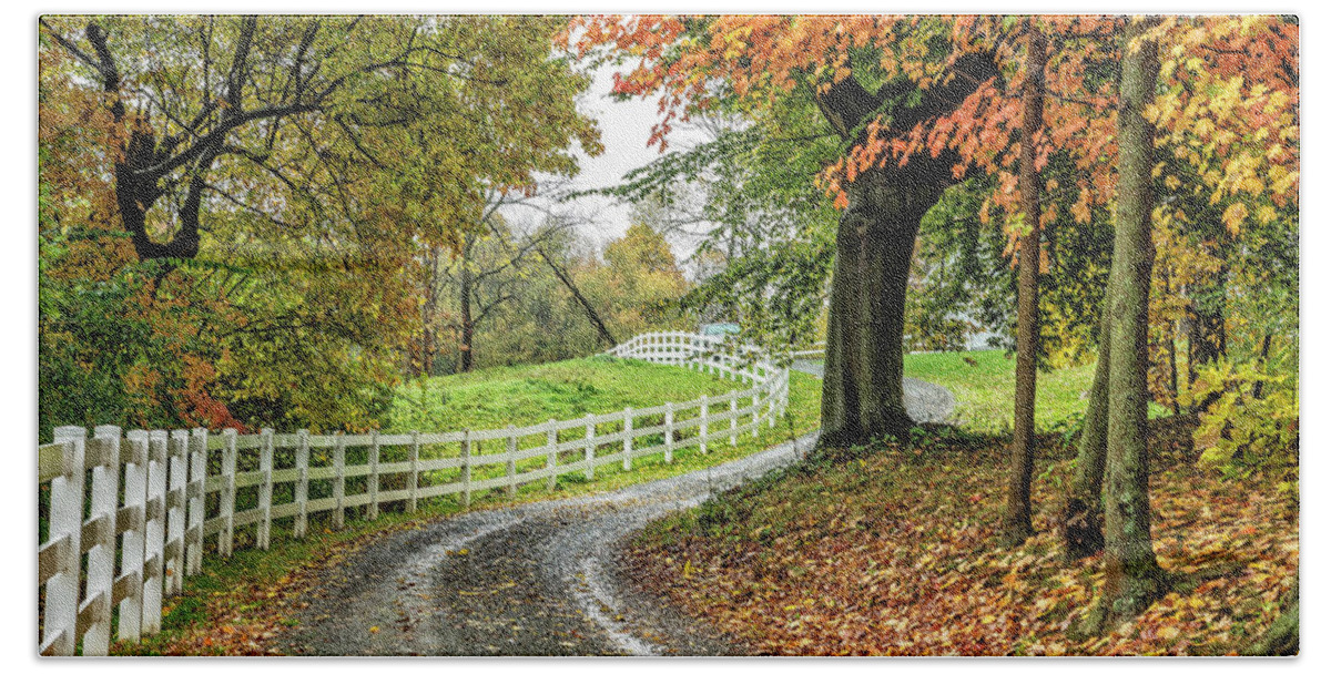 Color Bath Towel featuring the photograph Fence Line #2 by David Waldrop