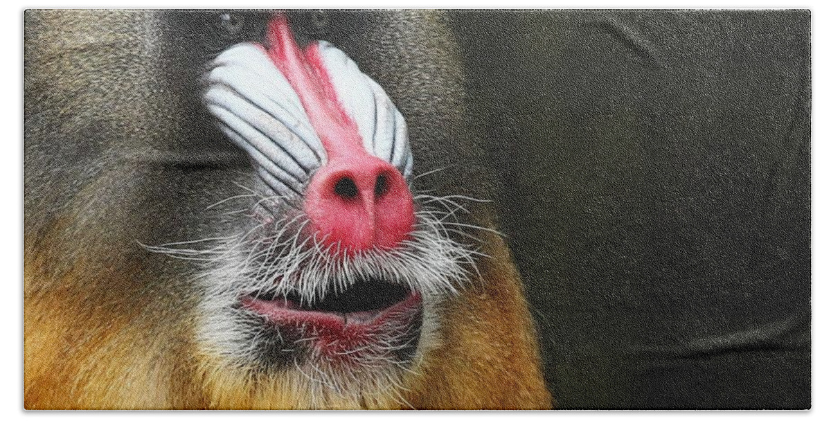 Mandrill Bath Towel featuring the photograph Mandrill #2 by Jackie Russo