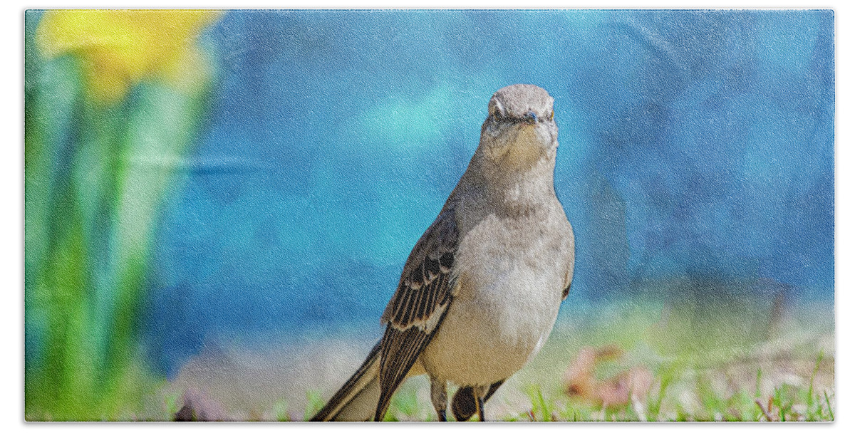 Avian Hand Towel featuring the photograph Mockingbird #2 by Cathy Kovarik