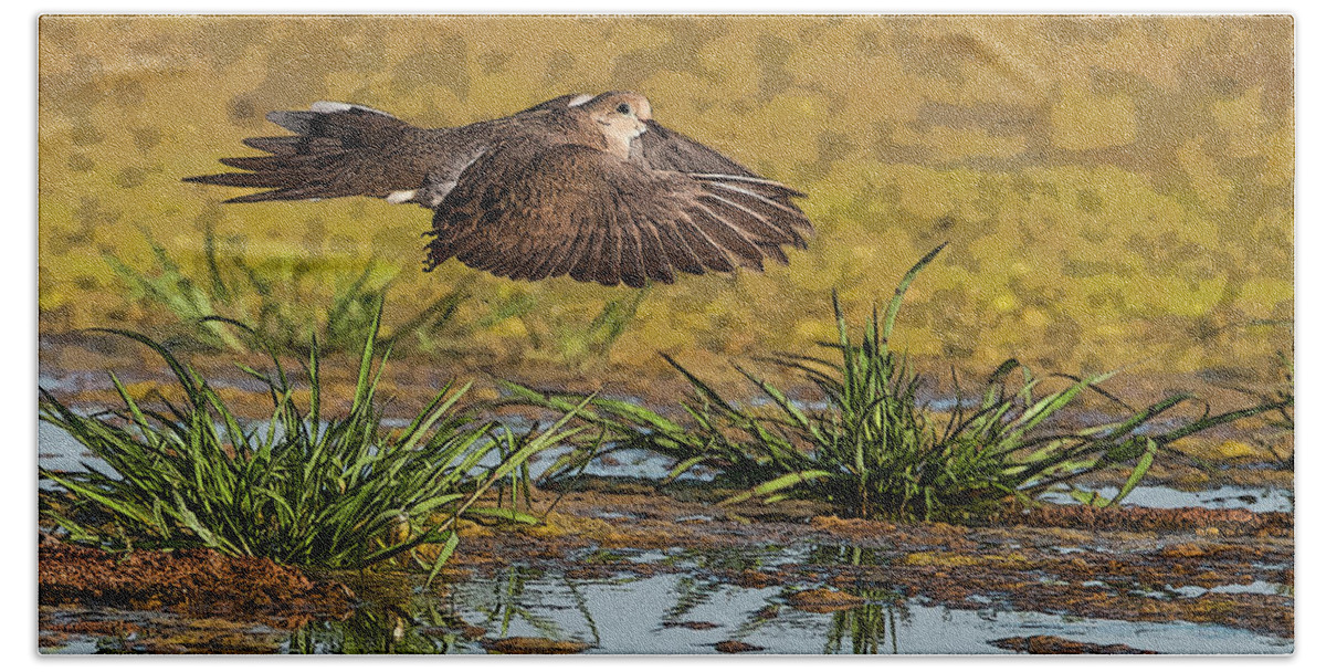 Mourning Dove Bath Towel featuring the photograph Mourning Dove in Flight #2 by Tam Ryan