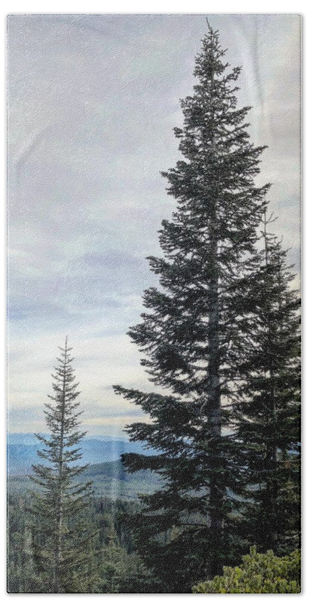 Mount Shasta Hand Towel featuring the photograph 2 Pine Trees by JoAnn Lense