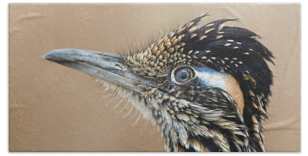 Roadrunner Hand Towel featuring the photograph Roadrunner #2 by Tam Ryan