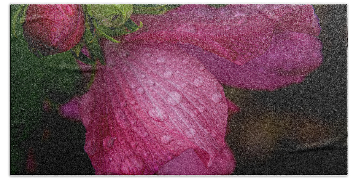 Flowers Bath Towel featuring the photograph Rose of Sharon Hibiscus with rain drops #2 by Garry McMichael
