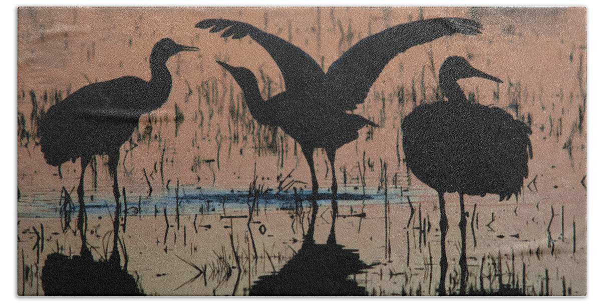 Cranes Bath Towel featuring the photograph Sandhill Cranes at Sunset #2 by John Greco