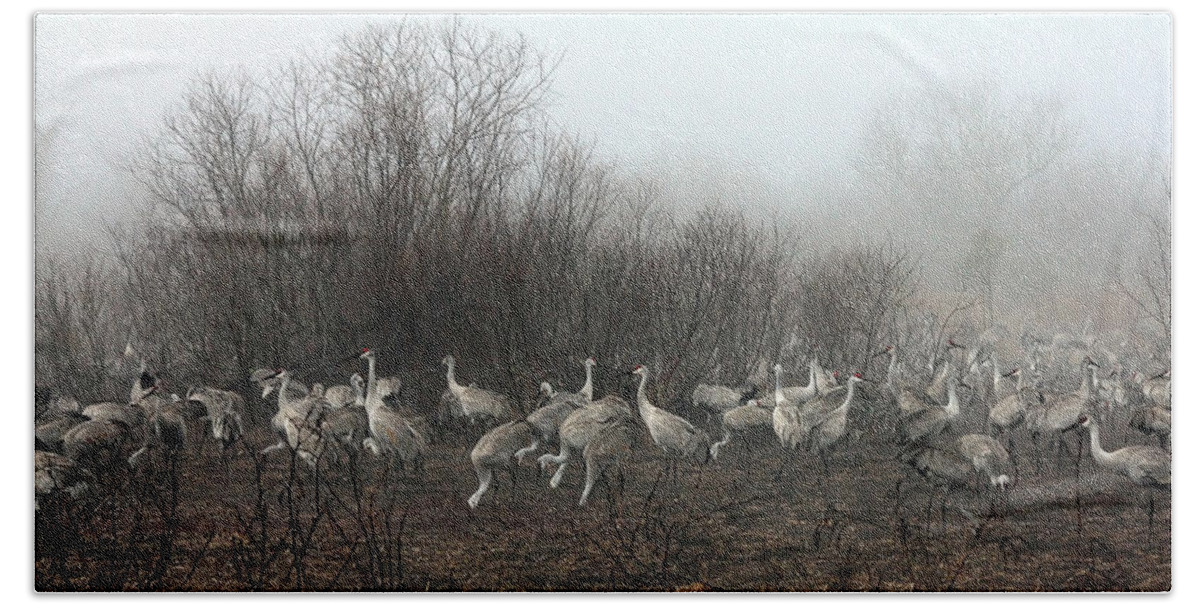 Cranes Hand Towel featuring the photograph Sandhill Cranes and the Fog by Farol Tomson