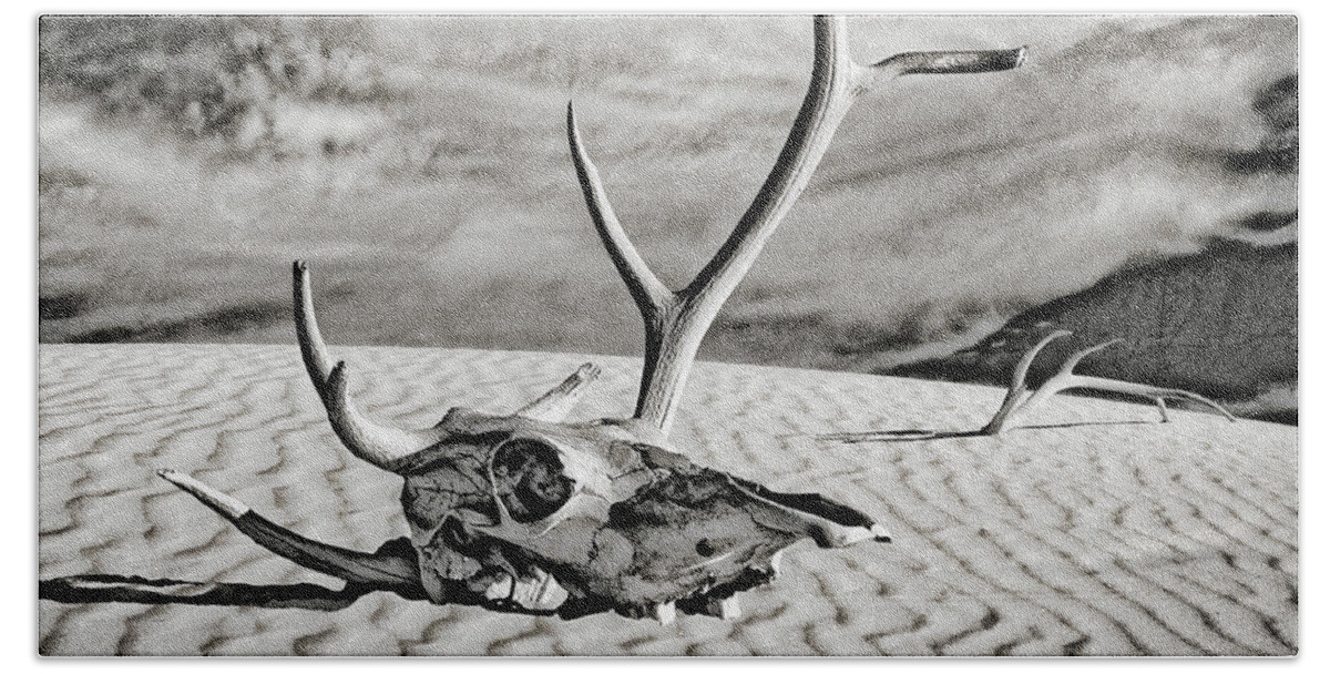 Cow Skull Hand Towel featuring the digital art Skull and Antlers #2 by Sandra Selle Rodriguez
