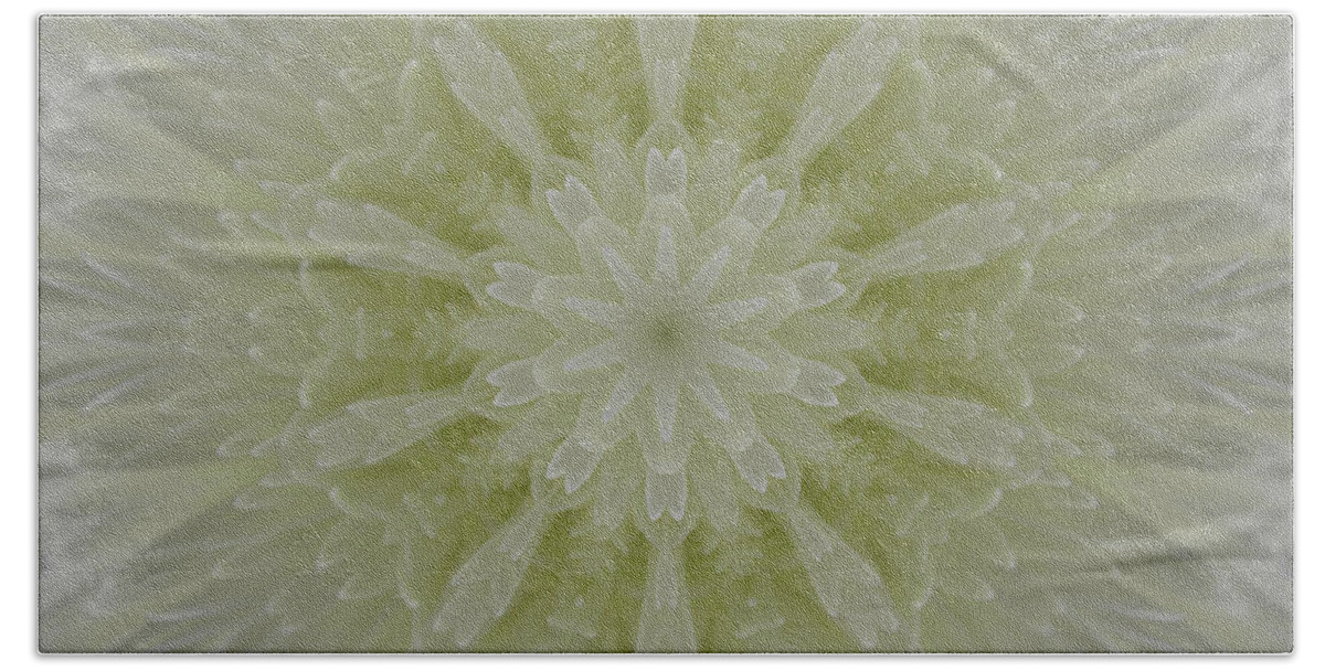 Flowers Bath Towel featuring the photograph Snowflake #2 by Michele Caporaso