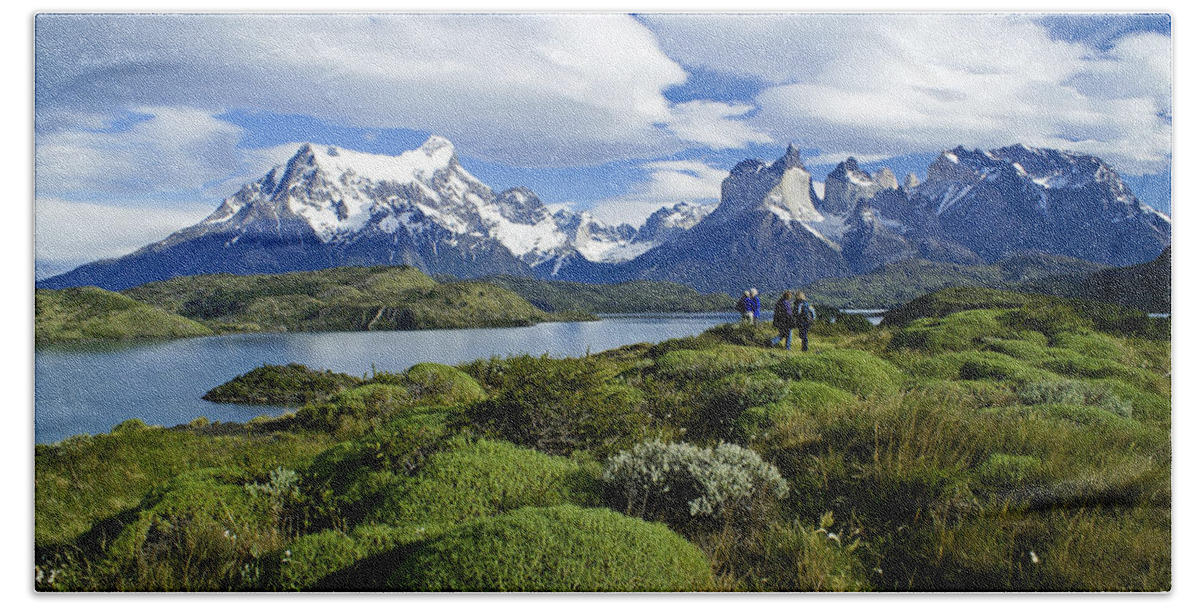 Patagonia Hand Towel featuring the photograph Springtime in Patagonia #2 by Michele Burgess