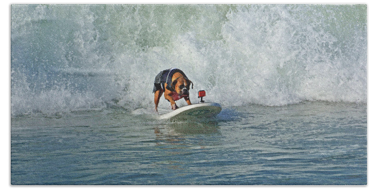 Huntington Beach Bath Towel featuring the photograph Surfing Dog #3 by Thanh Thuy Nguyen
