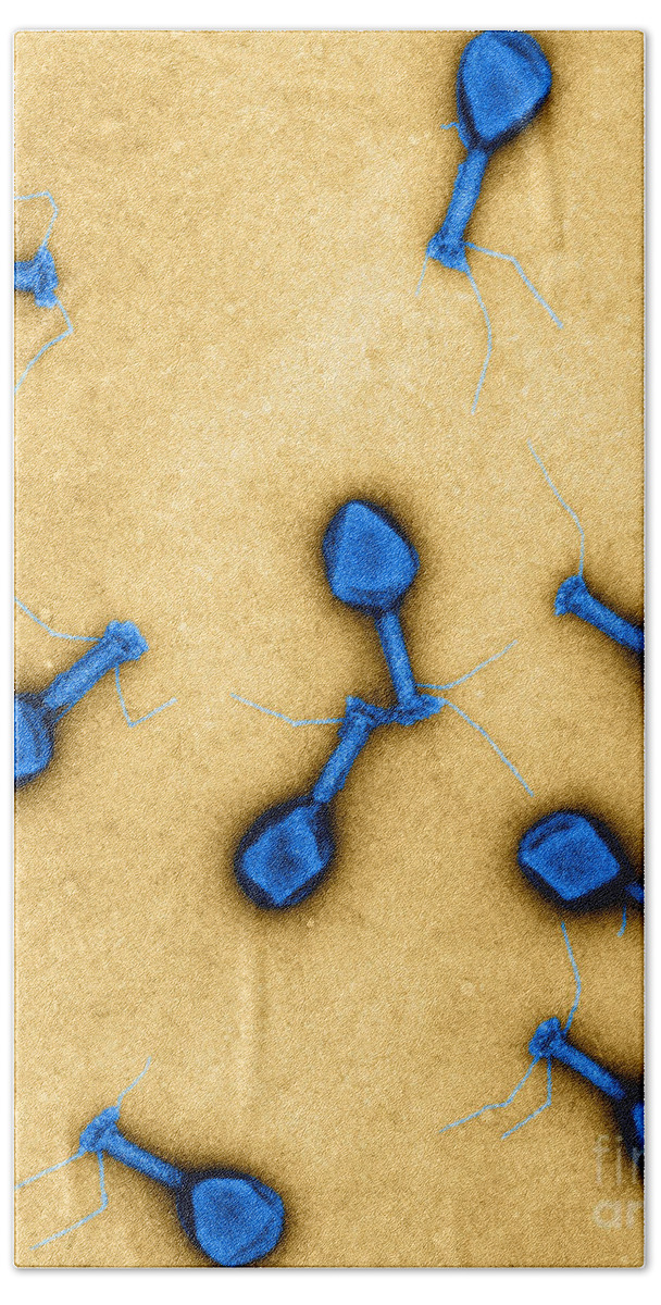 Science Hand Towel featuring the photograph T4 Bacteriophages, Tem #2 by Lee D. Simon