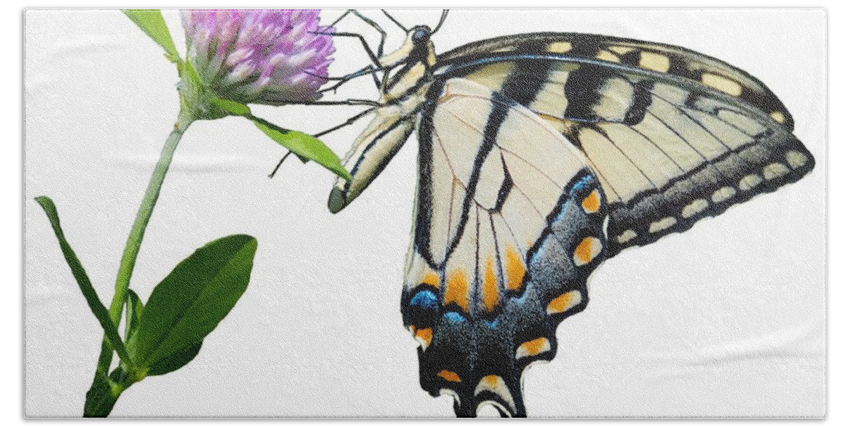 Tiger Swallowtail Butterfly Bath Towel featuring the photograph Tiger Swallowtail Butterfly #2 by Holden The Moment