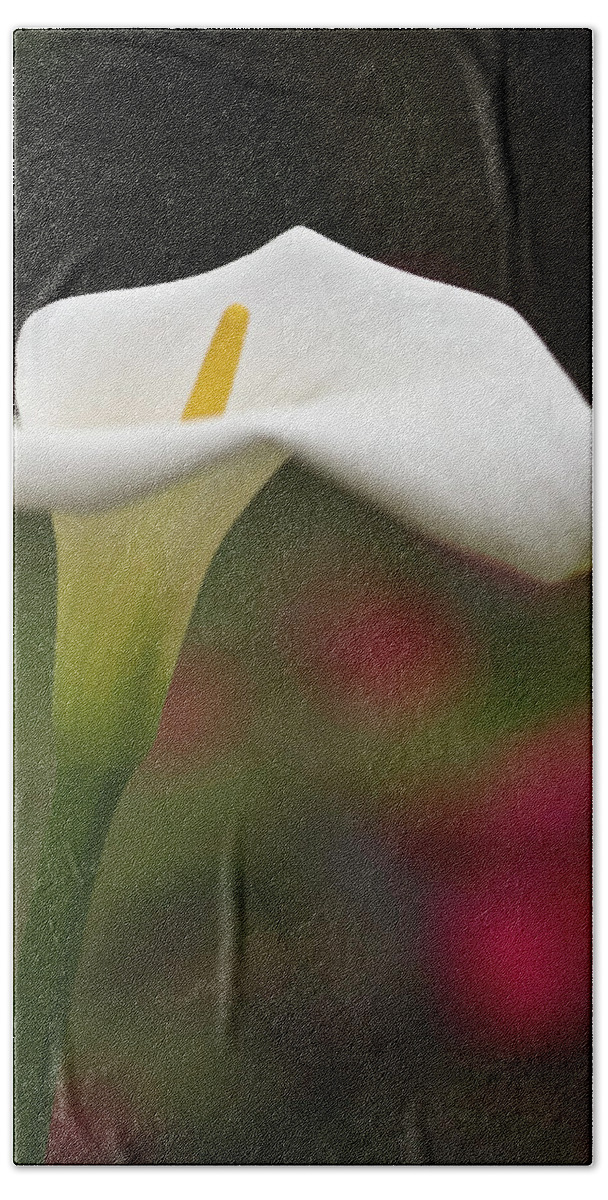 Calla Bath Towel featuring the photograph White Calla #2 by Heiko Koehrer-Wagner