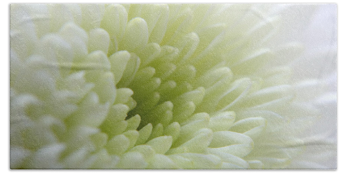 Chrysanthemum Hand Towel featuring the photograph White Chrysanthemum #2 by Chris Day