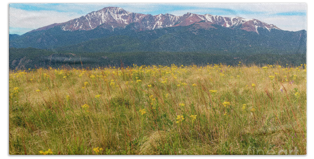 Wildflowers Hand Towel featuring the photograph Wildflowers and Pikes Peak #2 by Steven Krull