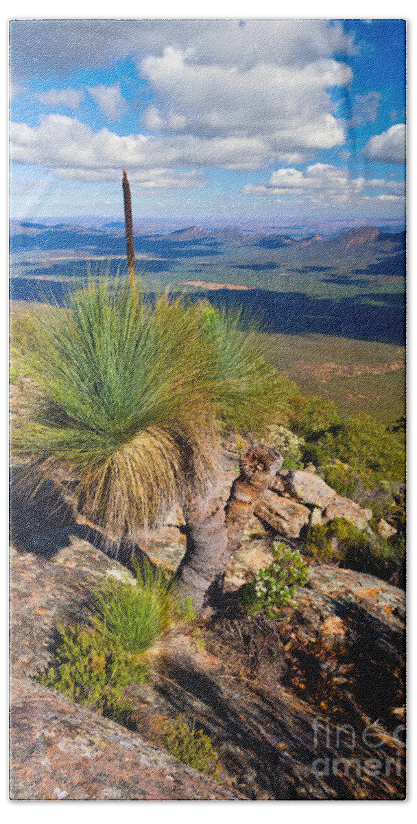 Wilpena Pound St Mary Peak Flinders Ranges South Australia Australian Landscape Landscapes Outback Bath Towel featuring the photograph Wilpena Pound by Bill Robinson
