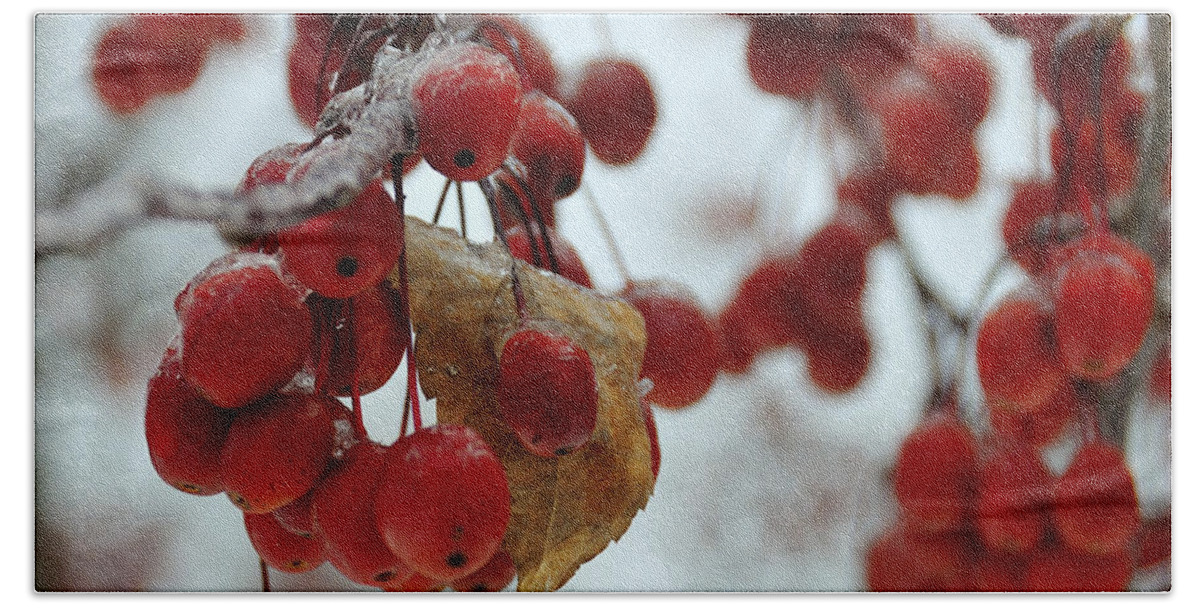 Winter Bath Towel featuring the photograph Winter Berries #2 by David Arment