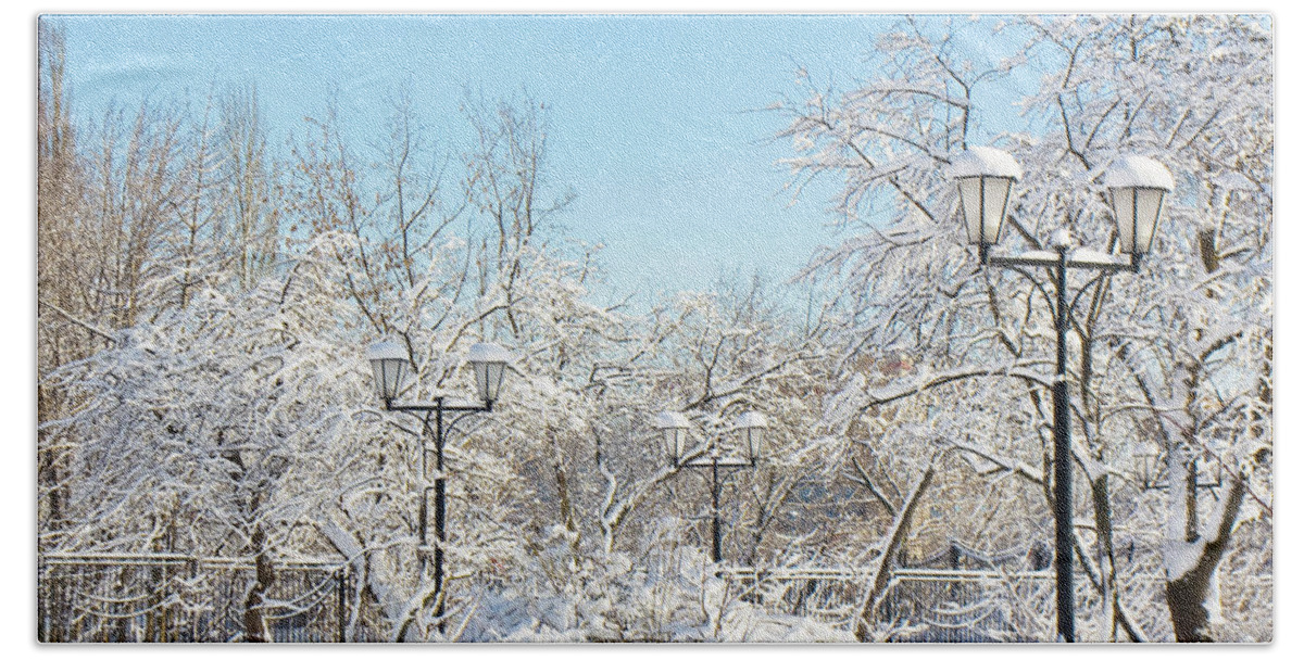 Winter Hand Towel featuring the photograph Winter garden #2 by Irina Afonskaya