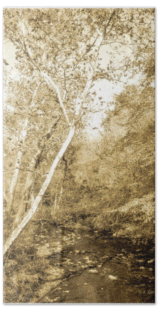 Stream Bath Towel featuring the photograph Woodland Stream in Fall, Montgomery County, Pennsylvania #2 by A Macarthur Gurmankin