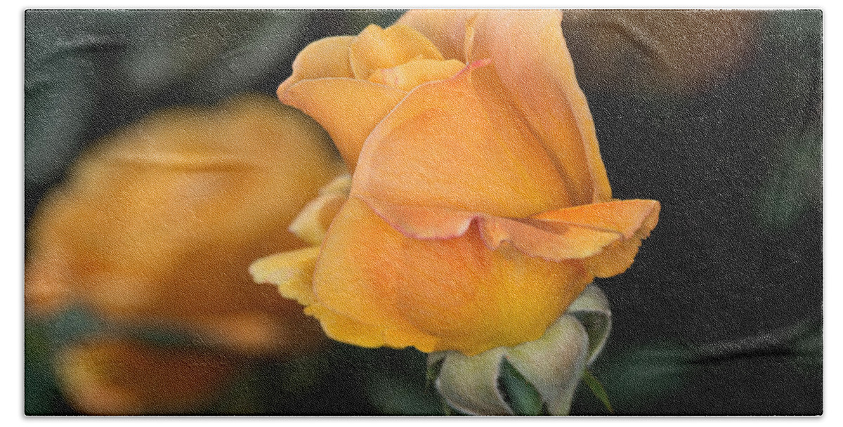 Rose Bath Sheet featuring the photograph Yellow Rose #2 by Michael Moriarty