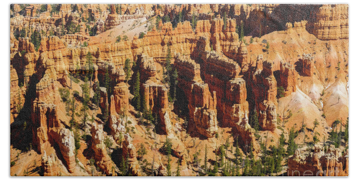 Bryce Canyon Bath Towel featuring the photograph Bryce Canyon Utah #20 by Raul Rodriguez