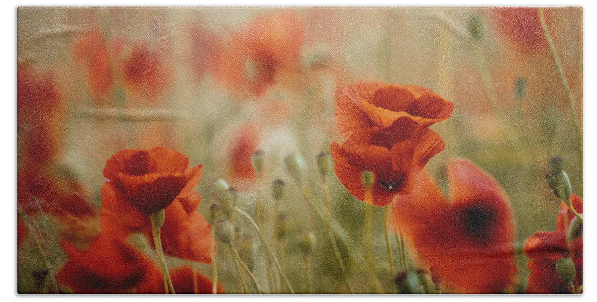 Poppy Hand Towel featuring the photograph Summer Poppy Meadow #20 by Nailia Schwarz