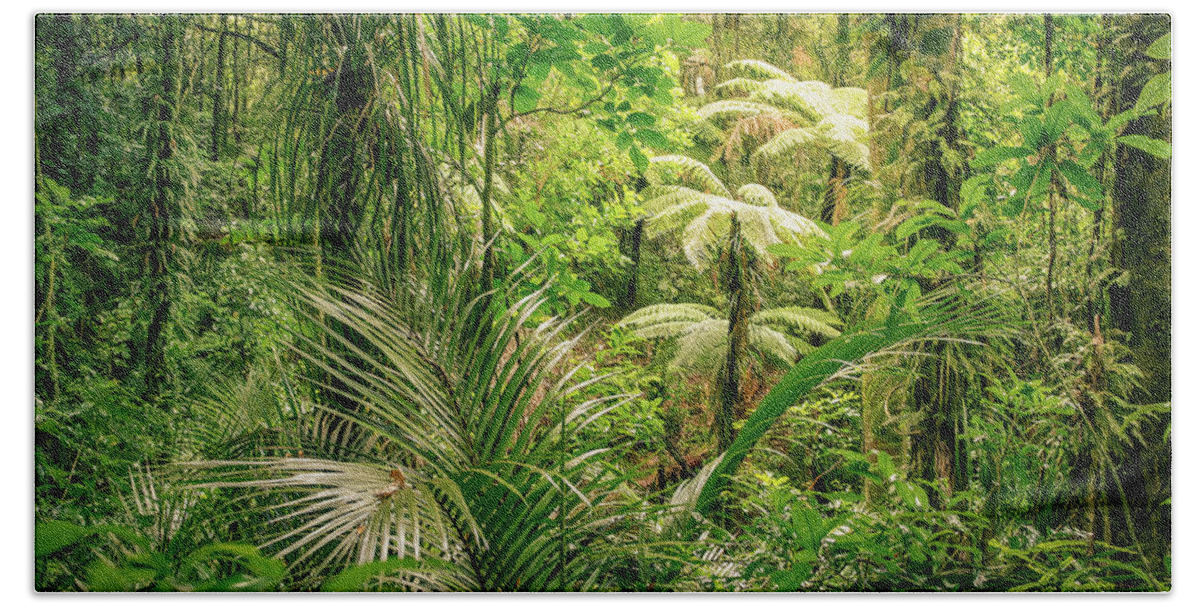 Rain Forest Bath Towel featuring the photograph Jungle 19 by Les Cunliffe