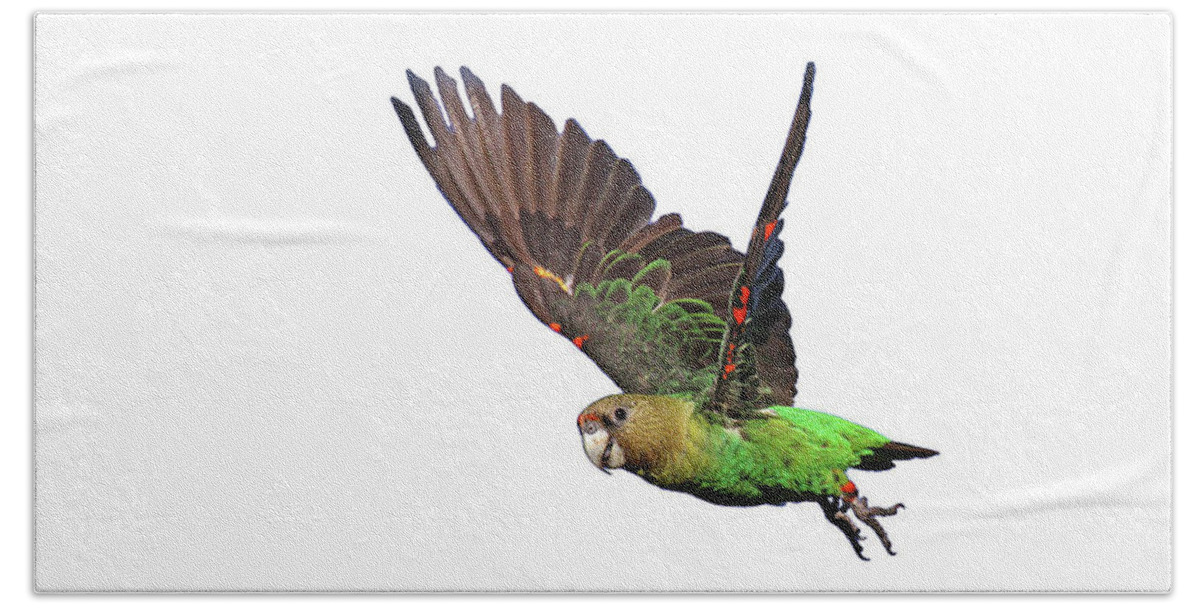 Parrot Bath Towel featuring the photograph Parrot #24 by Jackie Russo