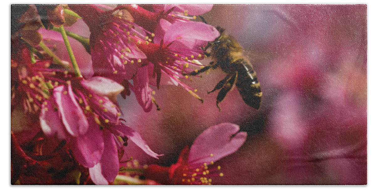 Jay Stockhaus Hand Towel featuring the photograph Bee #3 by Jay Stockhaus