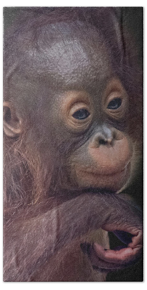Orangutan Bath Towel featuring the digital art Contemplation #3 by Larry Linton