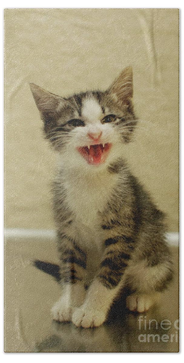 Cat Bath Towel featuring the photograph 3 Day Old Kitten by Amir Paz