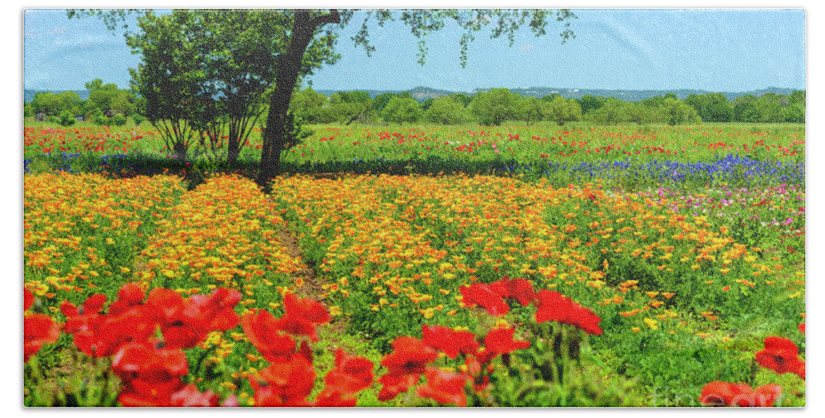 Hill Country Bath Towel featuring the photograph Hill Country in Bloom #3 by Thomas R Fletcher