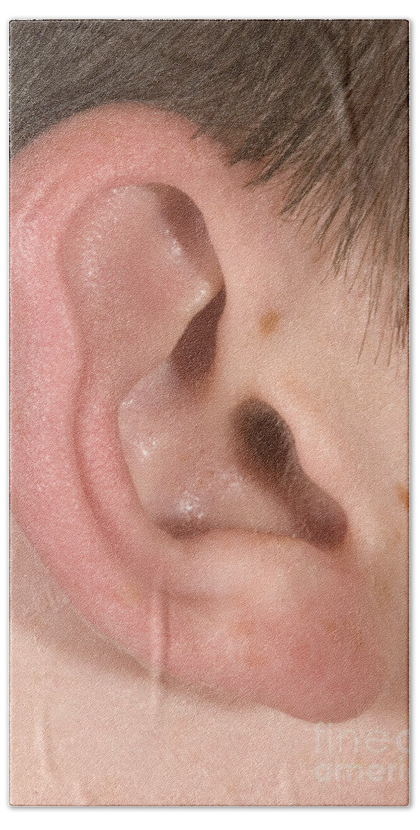 Ear Bath Towel featuring the photograph Human Ear #3 by Ted Kinsman