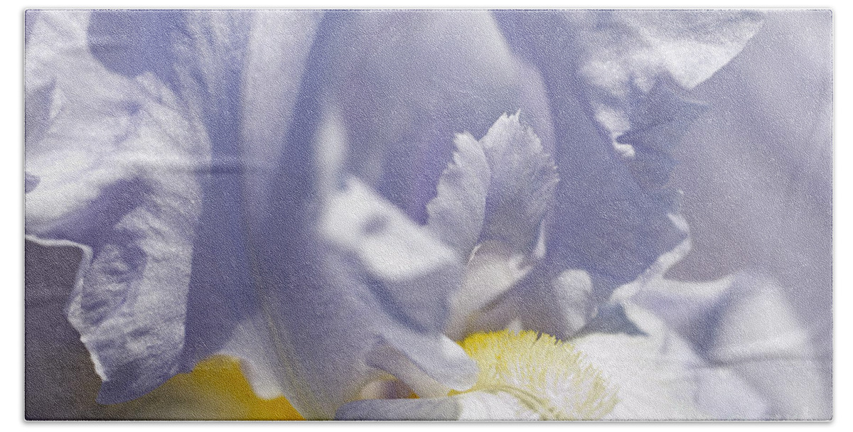Genus Iris Hand Towel featuring the photograph Iris Flowers by Tony Cordoza