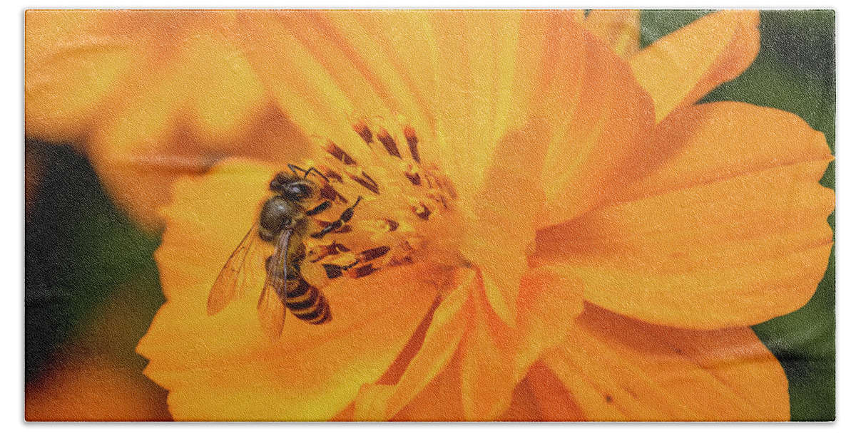 Bee Bath Towel featuring the photograph Pollination #3 by SAURAVphoto Online Store