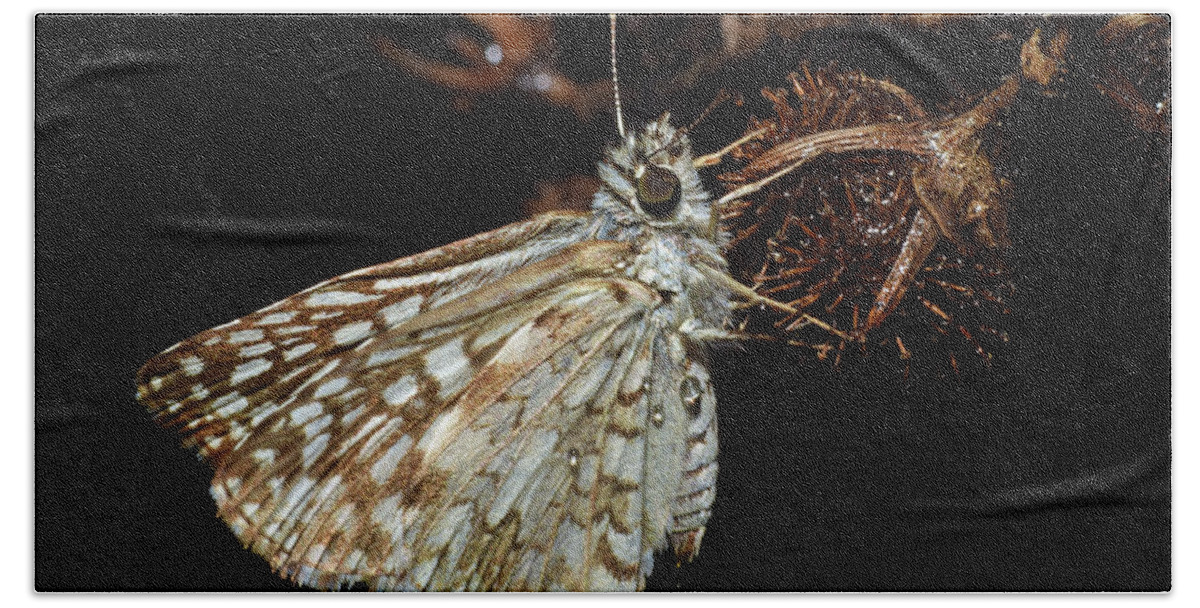 Photograph Bath Towel featuring the photograph Skipper #3 by Larah McElroy