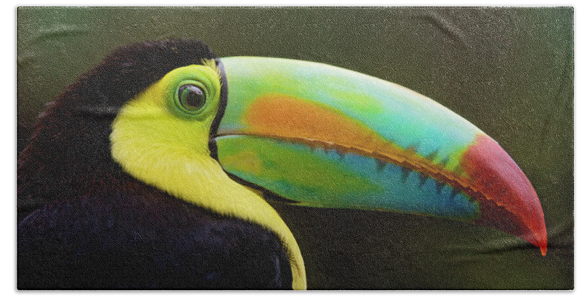 Toucan Hand Towel featuring the digital art Toucan #3 by Super Lovely